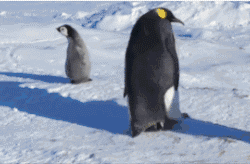 ȦҪǮ ÿһ616