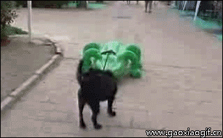 ϹͲܣͼЩС㰡
