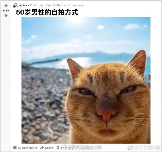 ȦҪǮ ÿһ616