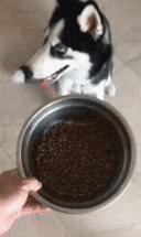 ӵ͵ɣ߻𣡶ͼ ˬϢ