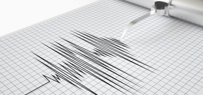 地震警报声外的民办、公办之问