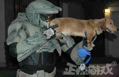 ѩ࿪6Ĵ治гйʱ䱻Ƴ٣
