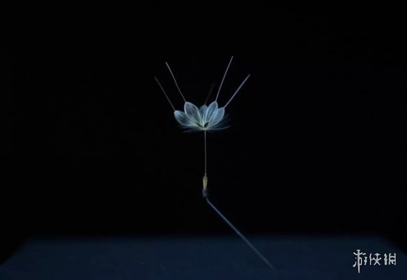 ձeuglenaѹӢ΢ Ĳϴ쾫