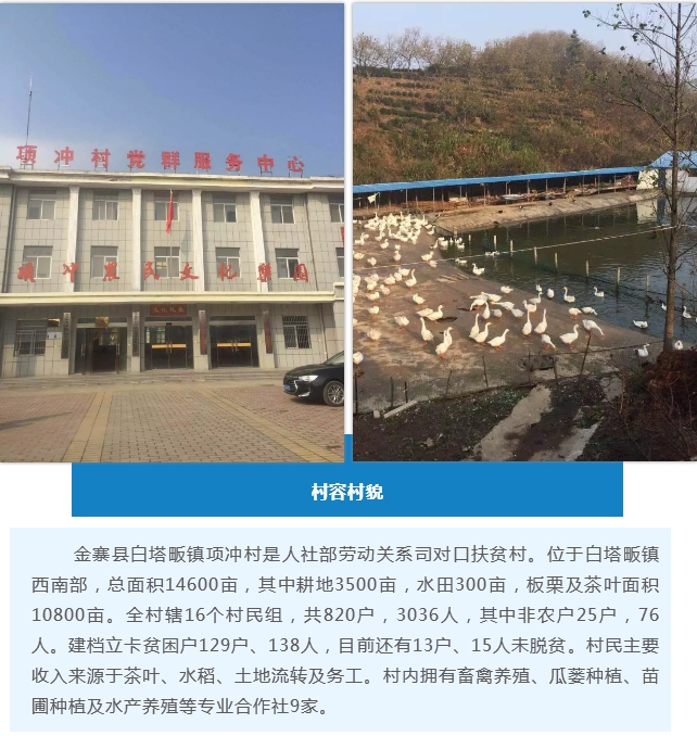 金寨镇人口网_吉兴镇金寨镇别墅图(3)