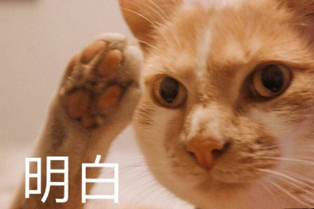 廪CP ÿһ626