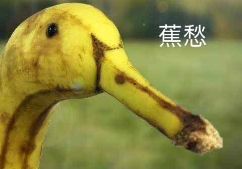 廪CP ÿһ626