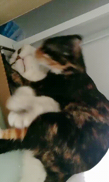  ˮʱˮ˰ ͼ èƬ