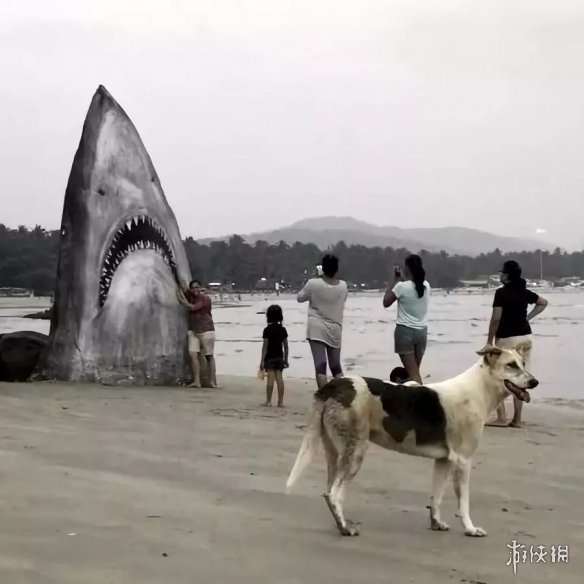 ӡȺ̲ʯ㡱 Ϳѻοͺ