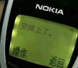 廪CP ÿһ626