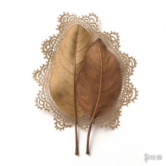 ¹Susanna BauerҶƾƷ Ѳμչ