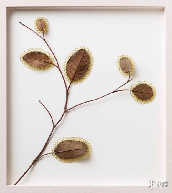 ¹Susanna BauerҶƾƷ Ѳμչ