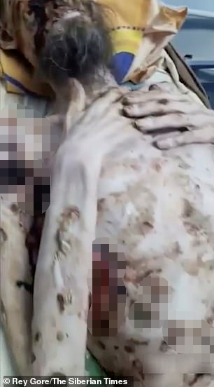 俄男子被棕熊拖进洞穴当作食物储藏 一个月后获救