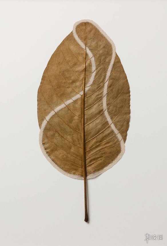 ¹Susanna BauerҶƾƷ Ѳμչ