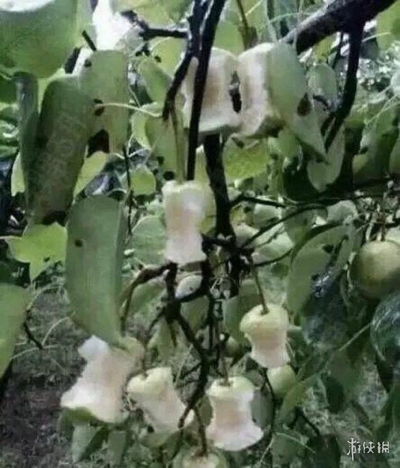 《不正经新闻》:手游行业还真是多灾多难啊