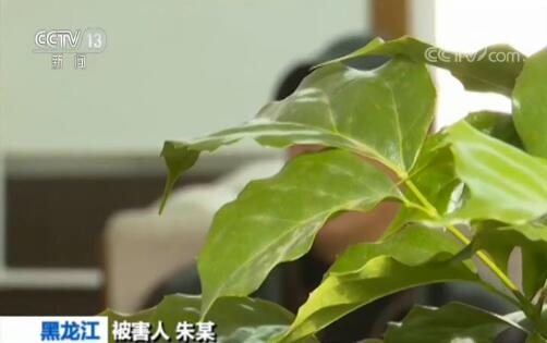 黑龙江黑社会性质组织覆灭 路人“瞅了一眼”被打