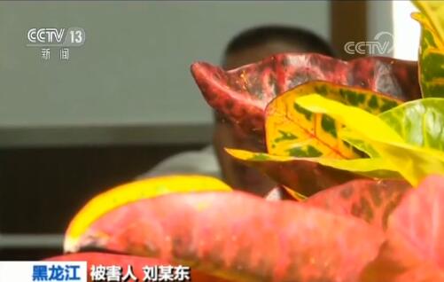 黑龙江黑社会性质组织覆灭 路人“瞅了一眼”被打