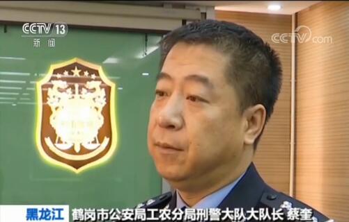 黑龙江黑社会性质组织覆灭 路人“瞅了一眼”被打