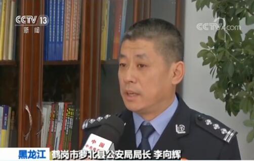 黑龙江黑社会性质组织覆灭 路人“瞅了一眼”被打