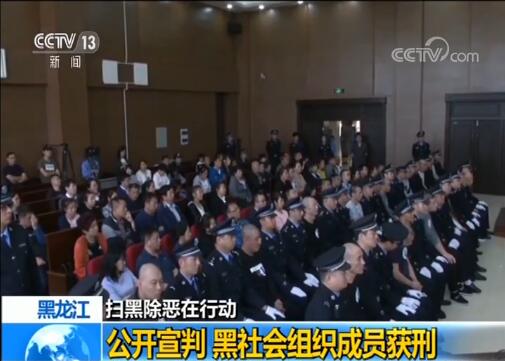黑龙江黑社会性质组织覆灭 路人“瞅了一眼”被打
