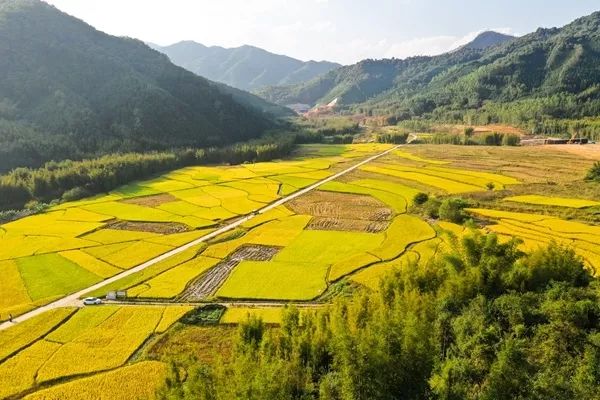 广饶县稻庄镇城坞村人口_广饶县稻庄镇纪家疃村(2)