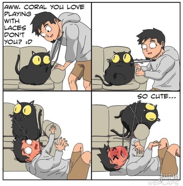 ѻ¼èһ ʺٲ