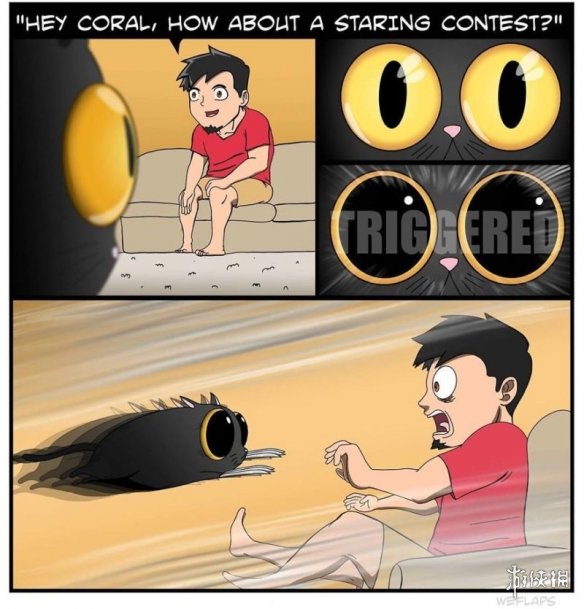 ѻ¼èһ ʺٲ