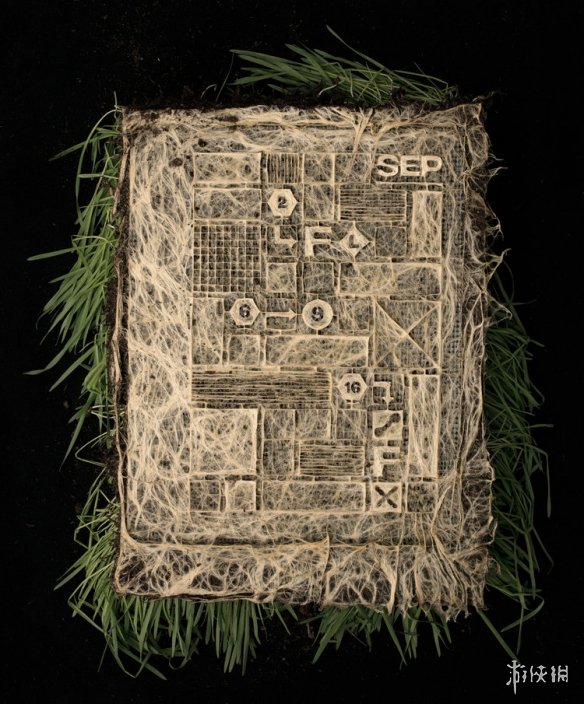 ¹Diana Schererֲϵ ֯ͼ