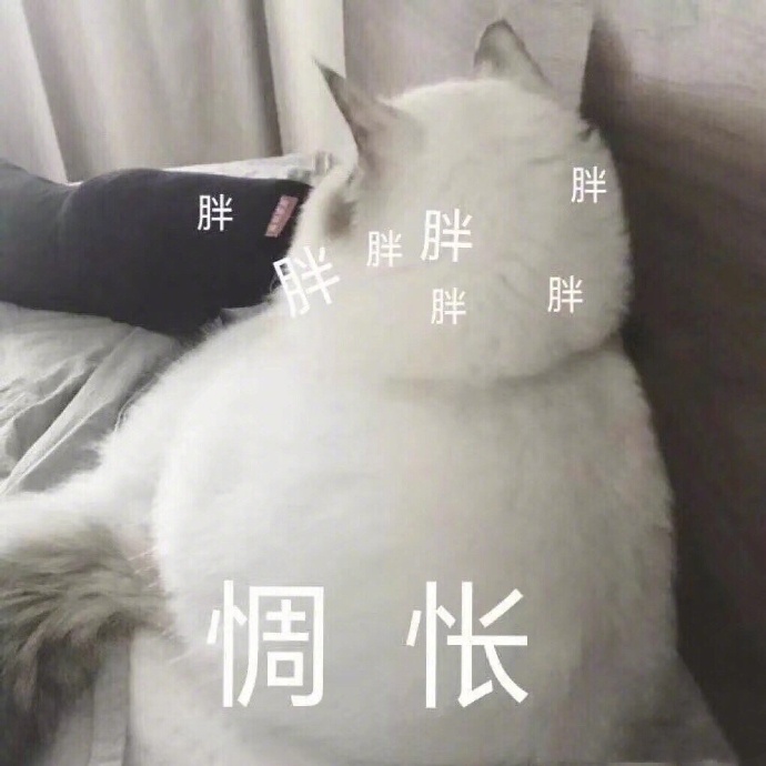 м¼ȵ5 ÿһ71