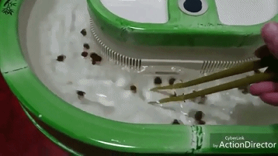 ̲߳ձ ɹڰ