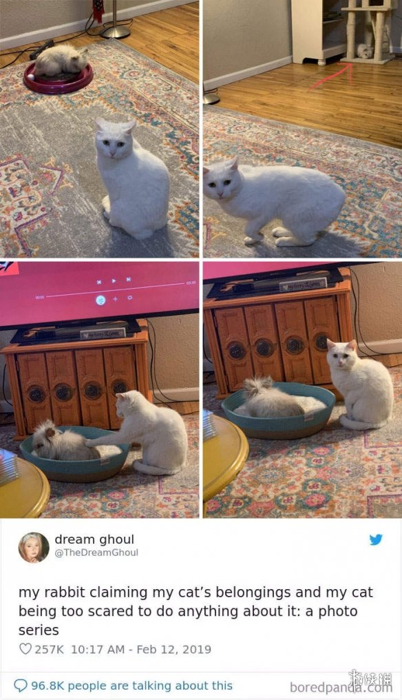 ȫè治Уѷèغϼ