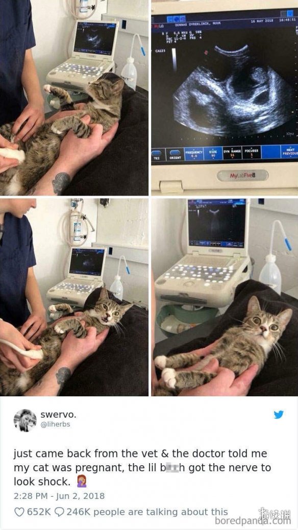 ȫè治Уѷèغϼ