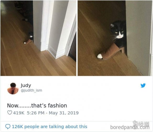 ȫè治Уѷèغϼ