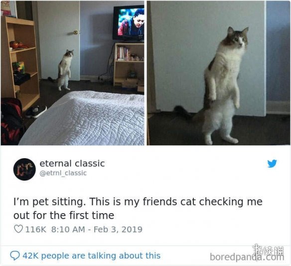 ȫè治Уѷèغϼ
