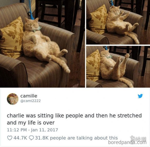 ȫè治Уѷèغϼ