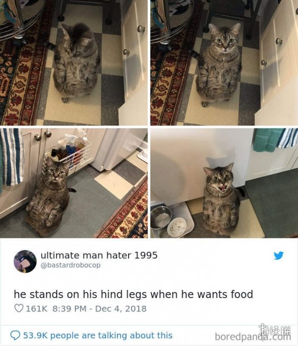 ȫè治Уѷèغϼ