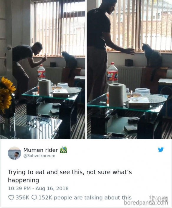 ȫè治Уѷèغϼ