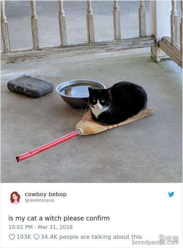 ȫè治Уѷèغϼ