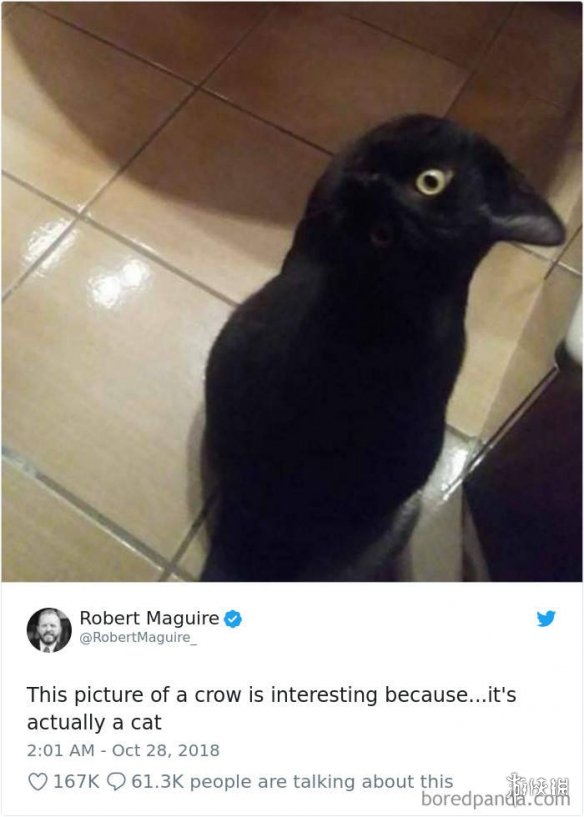 ȫè治Уѷèغϼ