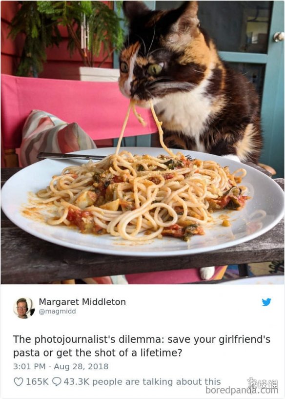 ȫè治Уѷèغϼ