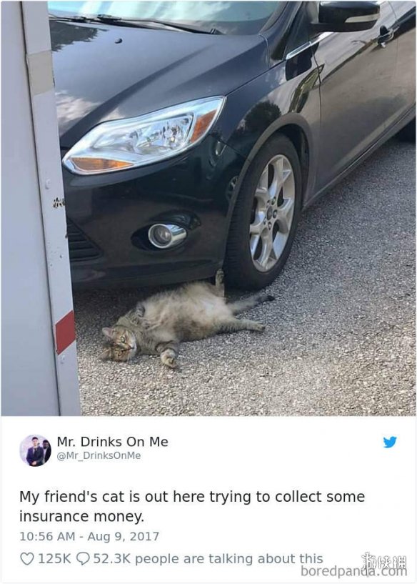 ȫè治Уѷèغϼ