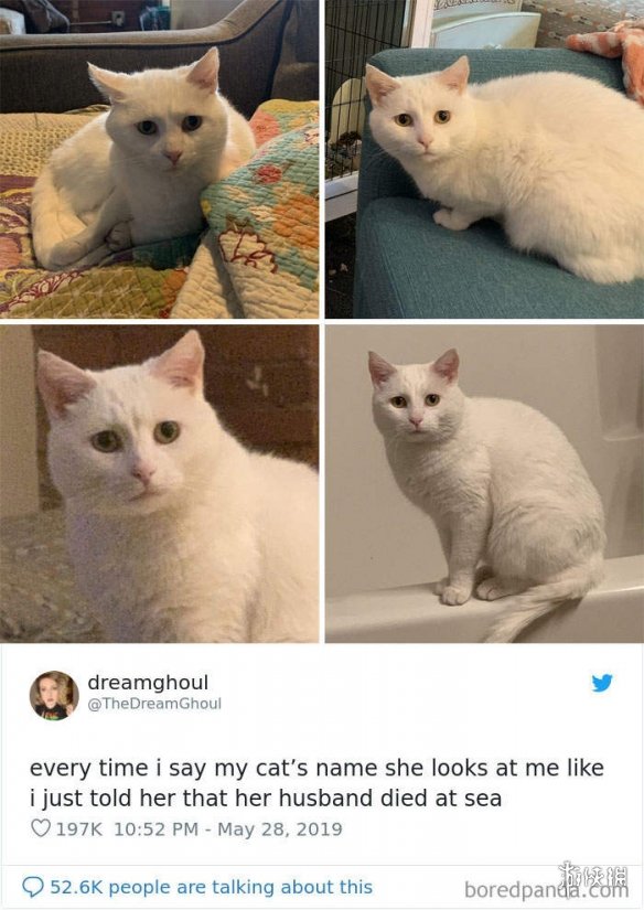 ȫè治Уѷèغϼ