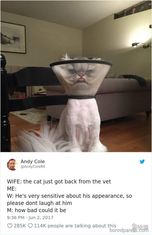 ȫè治Уѷèغϼ