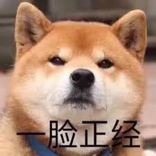 ɳʤٷֻͣΪɳͶƱԡ