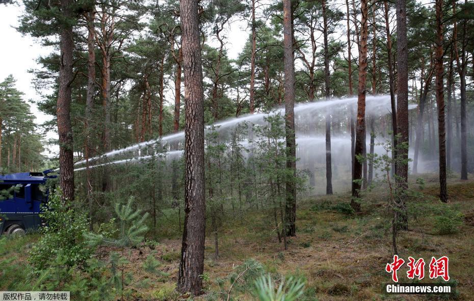 德福尔-乐鱼app(leyu)官方网站-乐鱼官网