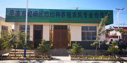 颉岭村养殖合作社办公区外景 康彦龙/摄