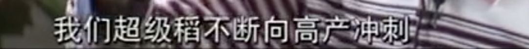 《这个老人不一般 即将90岁的袁隆平有了新身份》