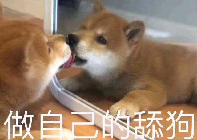 ΣȨϷβϷԼд֣
