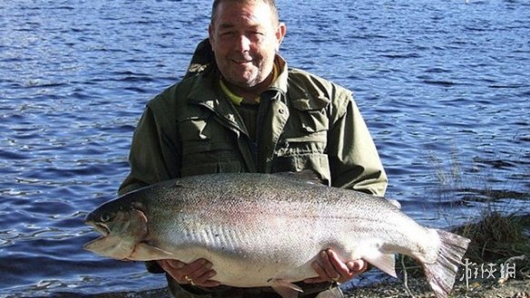 不交配就活不下去!细数动物世界中的奇葩繁衍行为