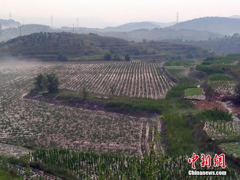 赛事分析-乐鱼app(leyu)官方网站-乐鱼官网