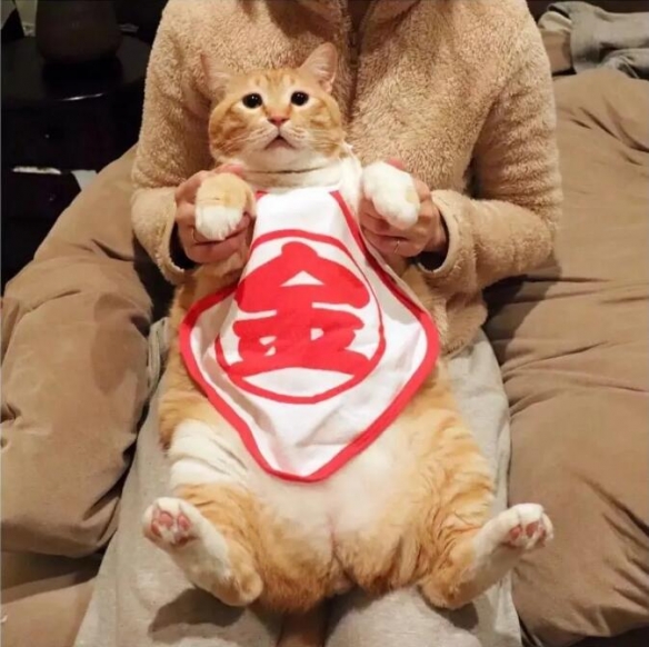 ȳһѪֻձСɥèƾȫ